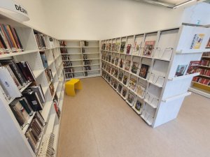 20220506_115719_resized