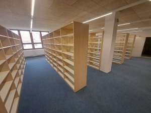 20250411_130643_resized