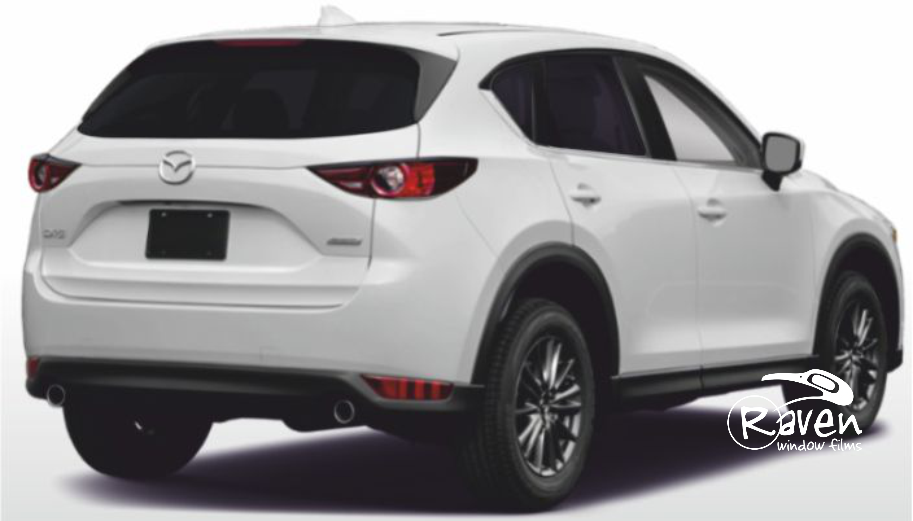 RavenHP NanoCarbon 20