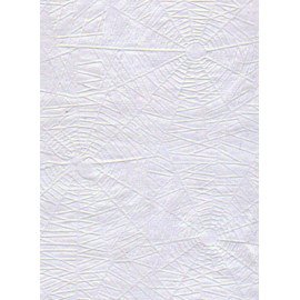 Průhledný pergamenový papír